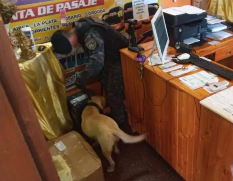 Incautaron más de 100 kilos de marihuana valuados en casi 120 millones de pesos en Capioví y Posadas 4 8 - Marihuana 1 1 - 7