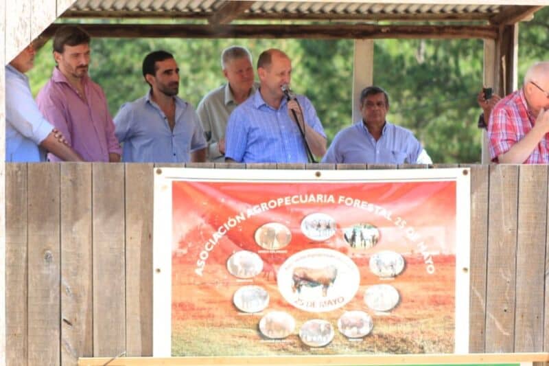 Récord: con más de 1.200 cabezas de bovinos se realizó un remate mixto en 25 de Mayo 5 10 - Remate 25dM4 - 9