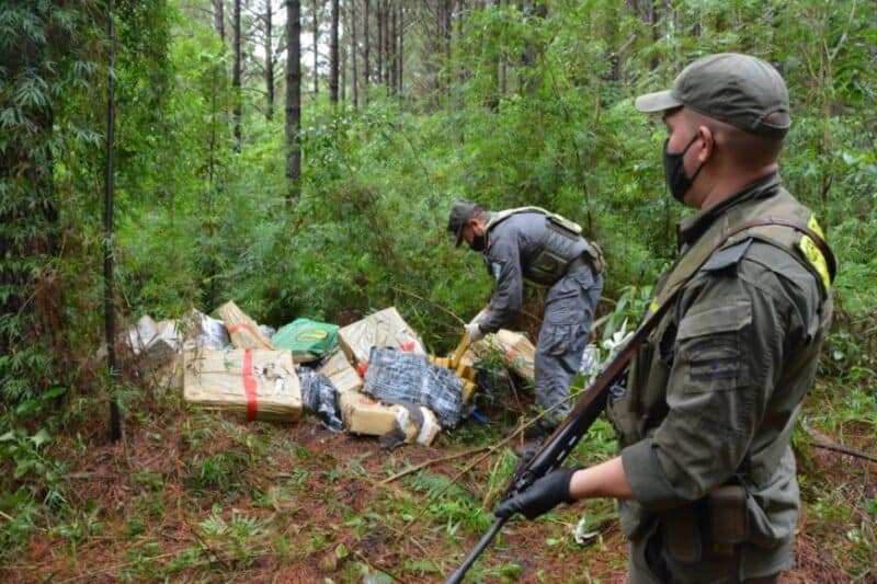 Secuestro de marihuana 1 - 1