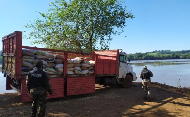 Prefectos decomisaron más de ocho toneladas y media de soja y maíz en El Soberbio y Alba Posse