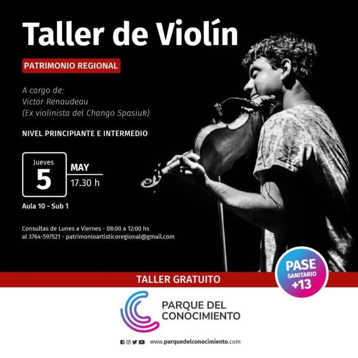 flyer taller violin - 1