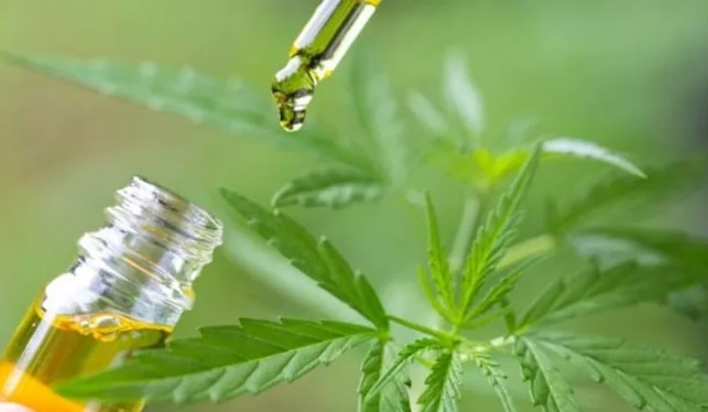 Día Internacional de la Marihuana: qué significa el código 420