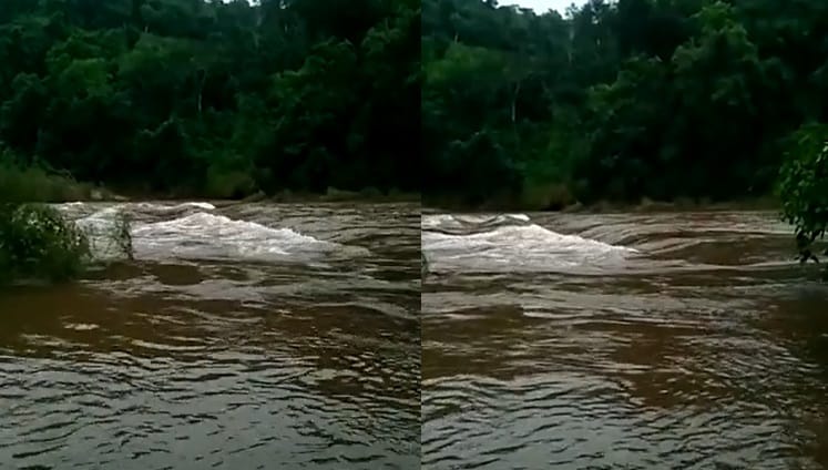 Por un nuevo desborde del Yabotí, cierran el ingreso al Parque Provincial Moconá