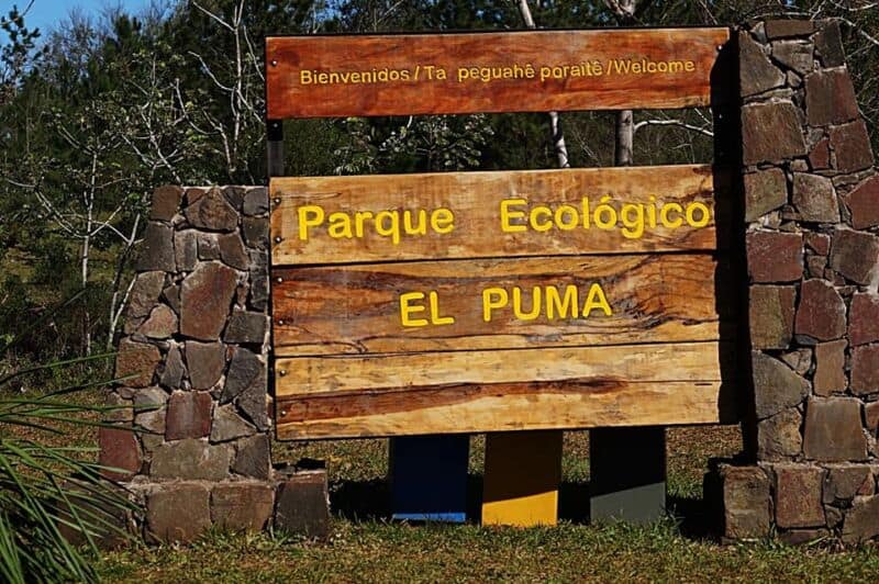 Piden deconstuir la práctica del mascotismo, muy arraigada en Misiones 5 10 - parque puma - 9