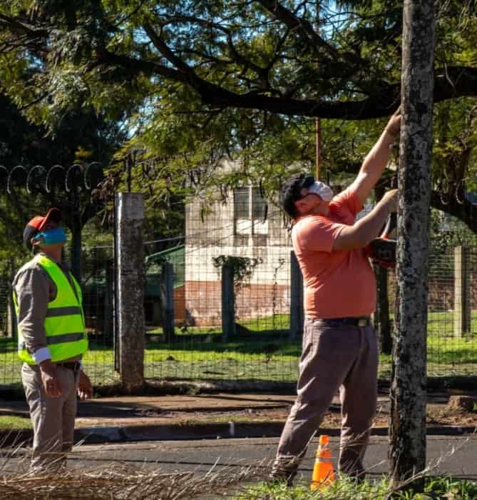 Posadas: recuerdan que se puede solicitar el servicio de poda completando una nota de solicitud