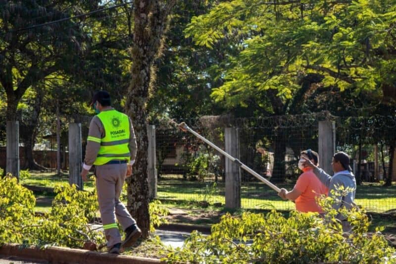 Capacitarán a podadores urbanos en Posadas 1 2 - posadas urbano 2 - 1