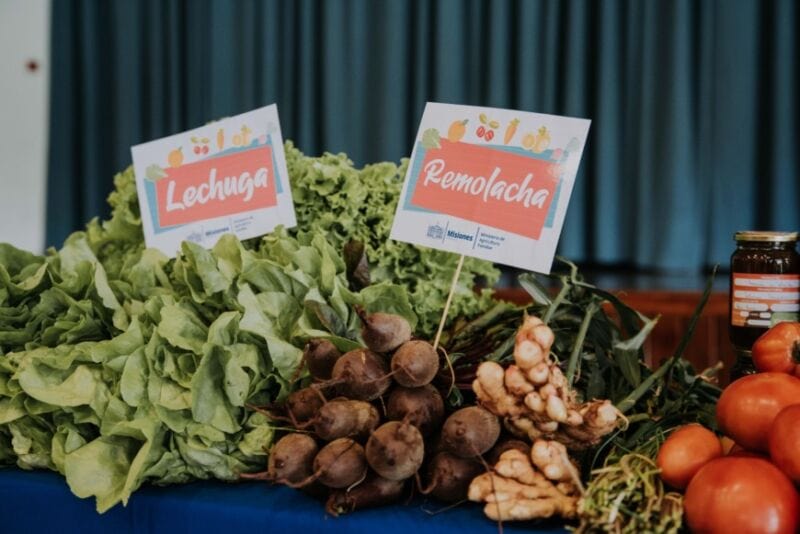 Misiones se sumó al Plan Nacional Accionar: buscan reforzar políticas sociales en la región 7 14 - 2022 05 19 Posadas Recorrida Parque Conocimiento 50 - 13