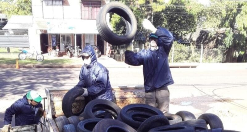 Lucha contra el dengue en Posadas: retiraron más de 200 neumáticos en desuso durante operativos