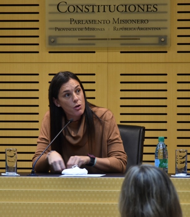 Legislatura: Ecosistema “Estudiantes Misioneros” celebró su segundo aniversario 3 6 - DSC 0246 - 5