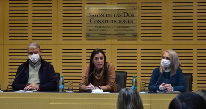 Legislatura: Ecosistema “Estudiantes Misioneros” celebró su segundo aniversario 4 8 - DSC 0247 - 7