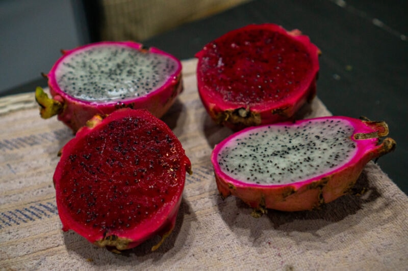 Funcionarios del IFAI visitaron a productor frutícola de Cerro Azul 2 4 - IFAI 2 5 - 3