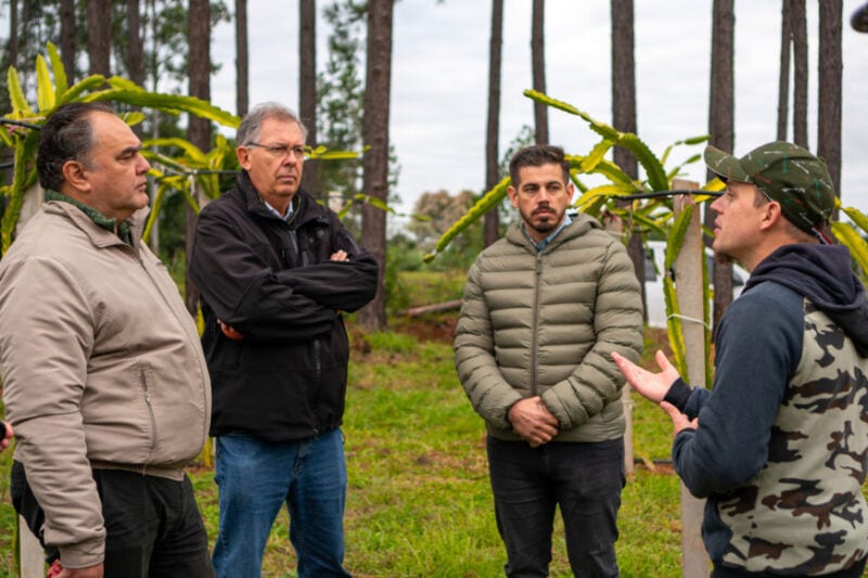 Funcionarios del IFAI visitaron a productor frutícola de Cerro Azul 1 2 - IFAI 3 3 - 1