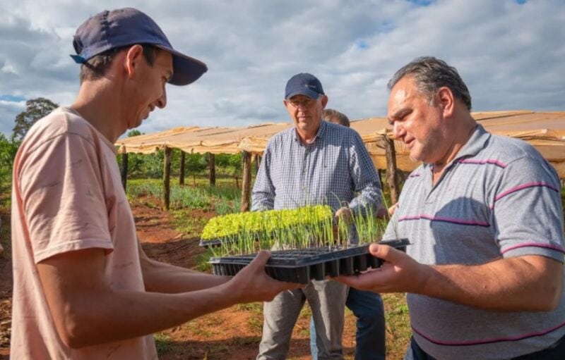 Entregaron plantines y fertilizantes a pequeños productores de Corpus y Gobernador Roca