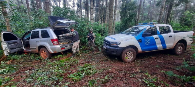 Prefectos secuestraron cargamento de marihuana valuado en casi 30 millones de pesos en Puerto Rico