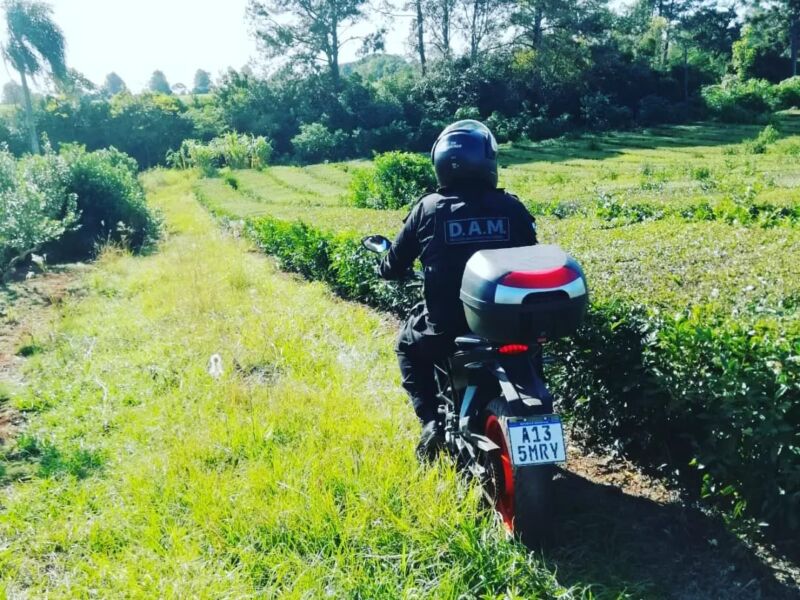 La intensa búsqueda de Josías se extendió a otras localidades 3 6 - busqueda 1 - 5