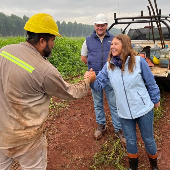 Energía de Misiones mejora la infraestructura a la línea "San Ignacio - Garita" 1 2 - energia de misiones 2 - 1