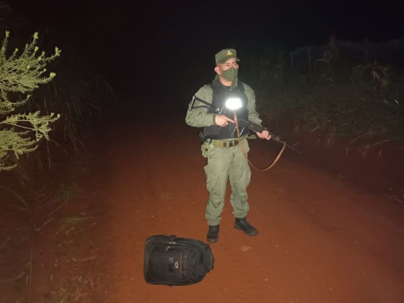 gendarmes incautan mas de 10 toneladas de marihuana en misiones 7 - 13