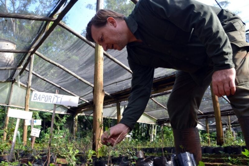 Vivero de Especies Nativas de Ecología, un reservorio clave de la flora autóctona misionera 4 8 - reserva5 - 7
