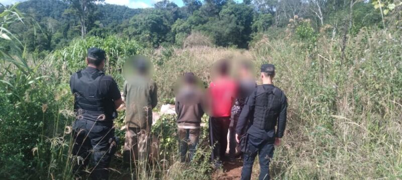 Cosechaban yerba mate sin permiso de una chacra en San Vicente y terminaron tras las rejas