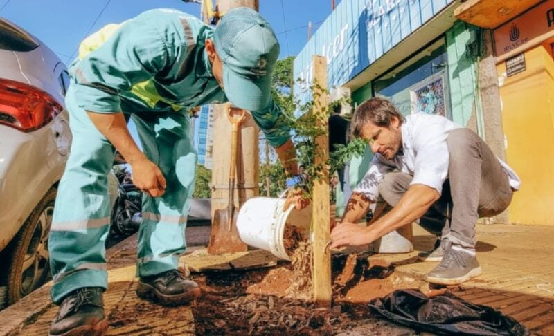 Más de dos mil árboles fueron plantados en avenidas de Posadas