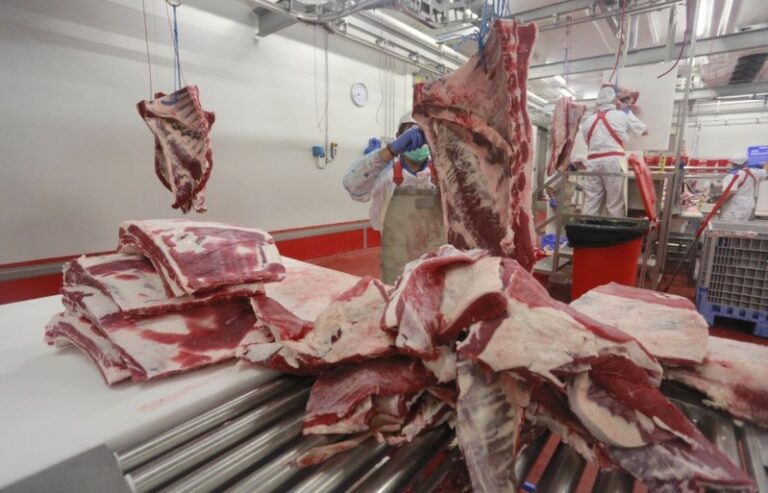 Destacan que las exportaciones de carne están en niveles máximos desde 2009