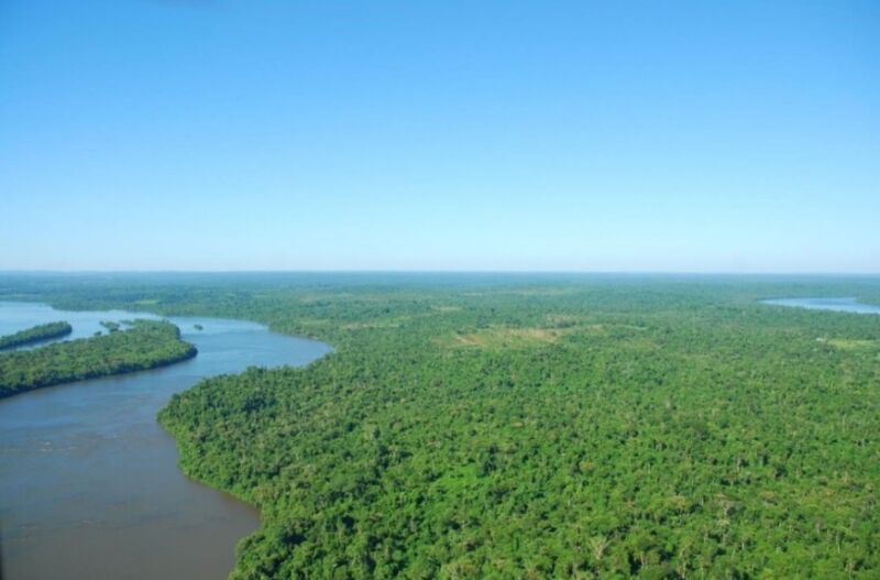 De Suiza a Misiones: la historia de Regina Lacona, propietaria de Haras Itapé