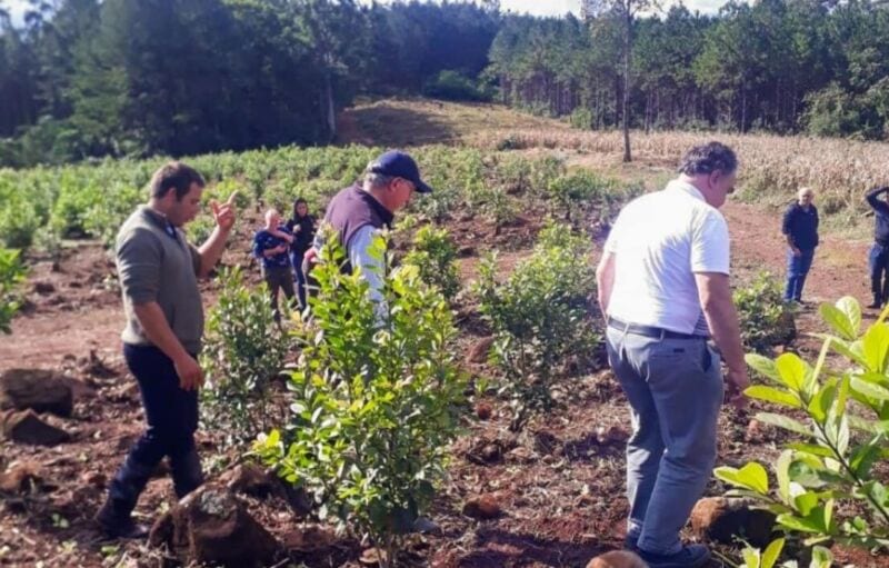 Autoridades del IFAI recorrieron zona productiva de San Pedro