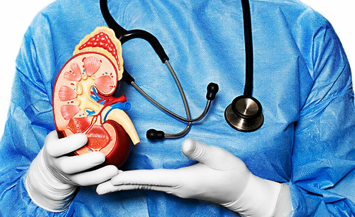 La Provincia tendrá un programa de Salud Renal