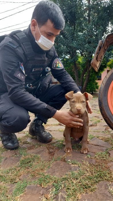 WhatsApp Image 2022 06 07 at 9.55.40 PM - 3