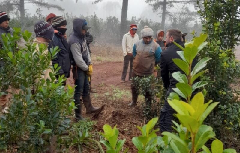 La cobertura de salud yerbatera se extiende y llega cada vez a más productores misioneros