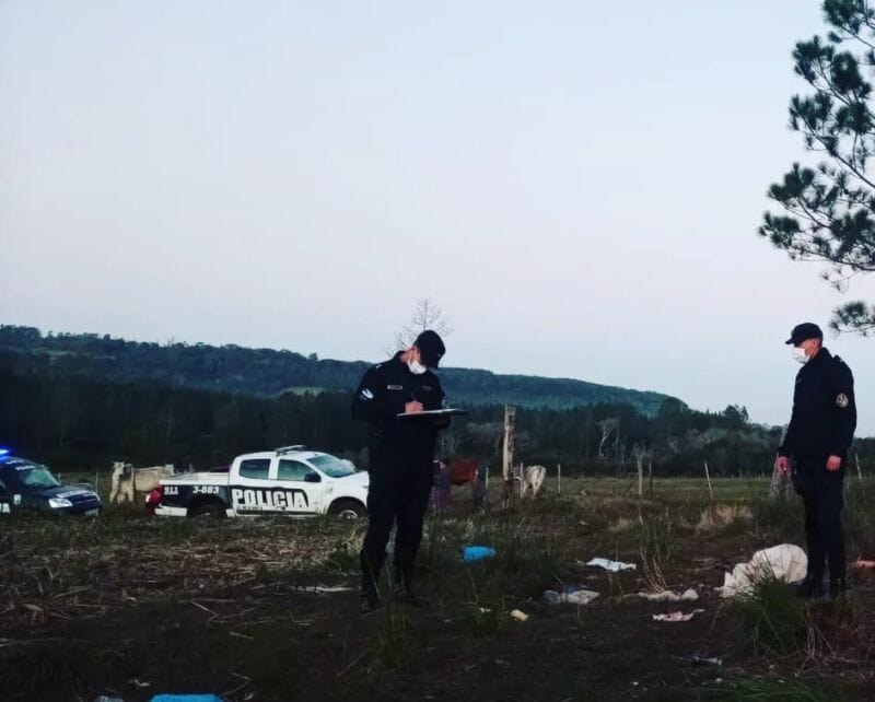 Detuvieron a un hombre y secuestraron carne faenada en Alem