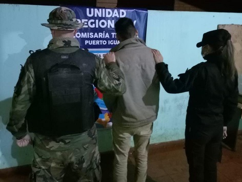 Frustraron apeo ilegal de palmitos plantados en áreas protegidas: hay un detenido