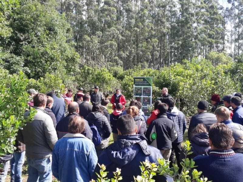 San Vicente: Inym capacitó a productores, estudiantes universitarios y de escuelas de agrícolas 1 2 - capacitacion inym 1 - 1