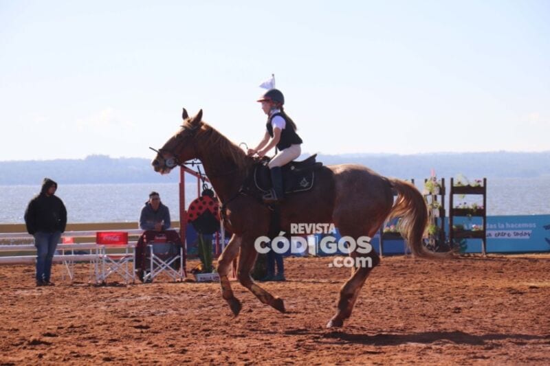 hipico 3 - 5
