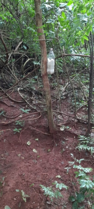Encontraron rastros de cazadores furtivos en zona del Parque Provincial Salto Encantado 4 8 - lugar del hecho 4 - 7