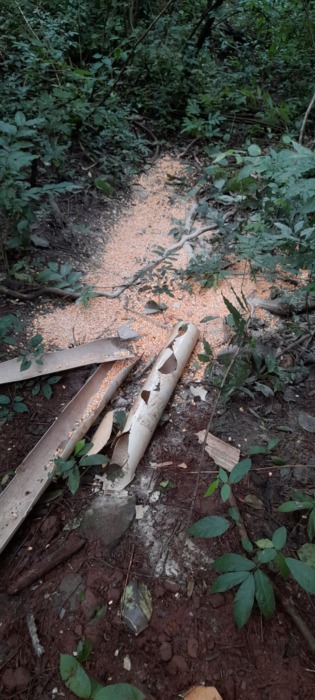 Encontraron rastros de cazadores furtivos en zona del Parque Provincial Salto Encantado 5 10 - lugar del hecho 5 - 9