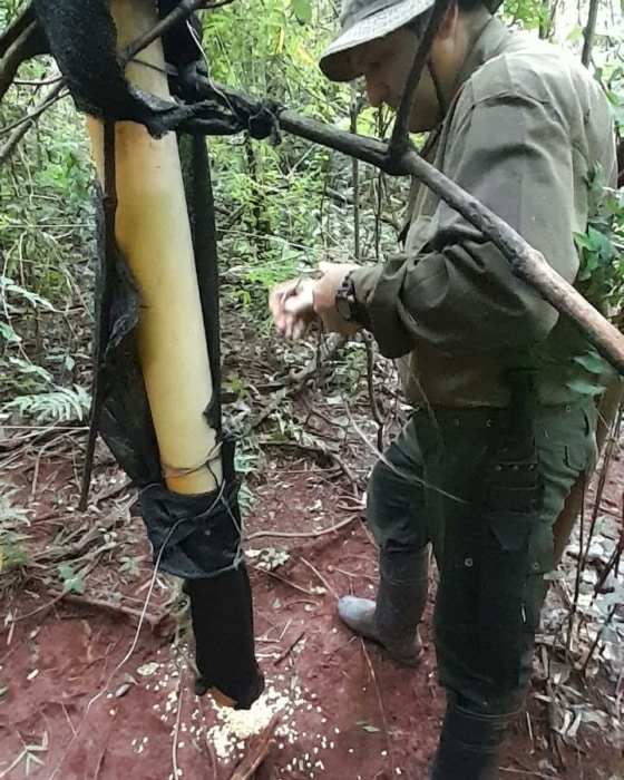 Encontraron rastros de cazadores furtivos en zona del Parque Provincial Salto Encantado 6 12 - lugar del hecho 6 - 11
