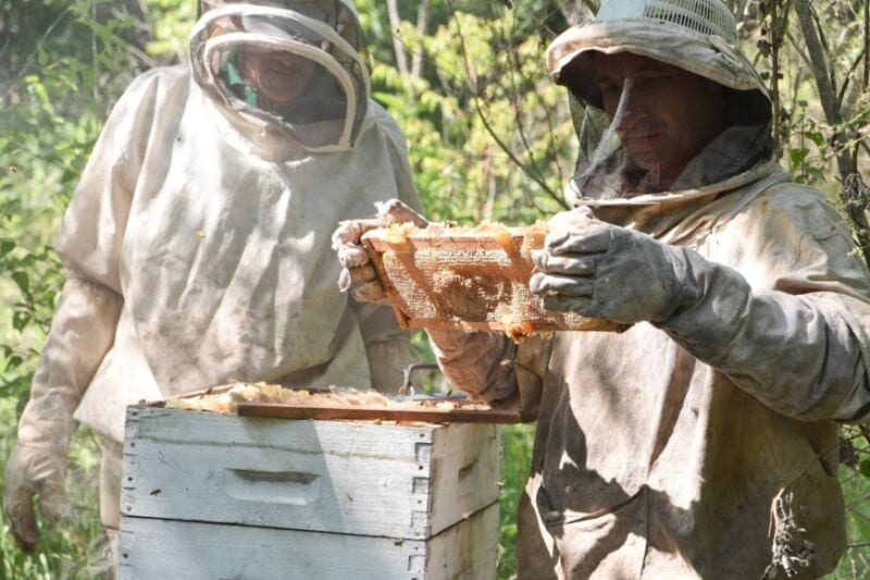 En la semana de la miel, el Ministerio del Agro y la Producción planificó un cronograma de actividades en distintos puntos de la provincia con el objetivo de promover el consumo local de miel.
