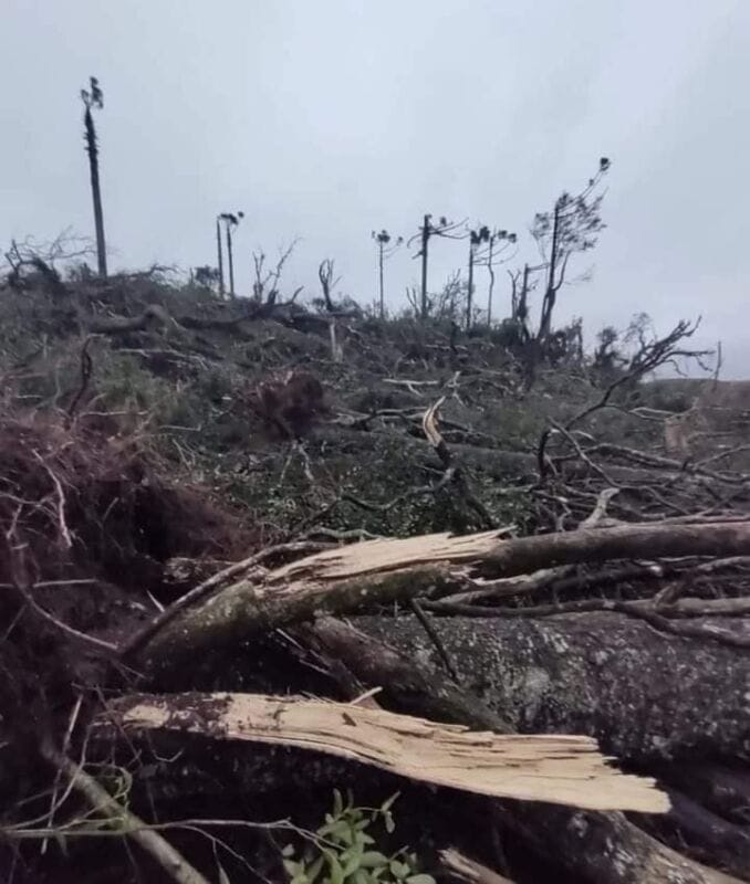 Presunto tornado azotó a localidad brasileña en frontera con Misiones