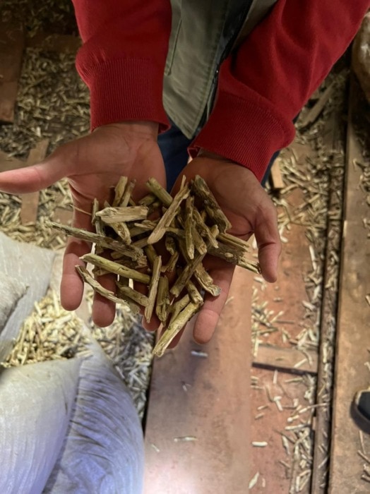 Secuestraron 50 mil kilos de palos y polvo de yerba ocultos en un secadero abandonado 2 4 - yerba 1 - 3