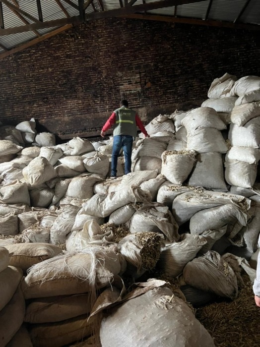 Secuestraron 50 mil kilos de palos y polvo de yerba ocultos en un secadero abandonado 1 2 - yerba 2 - 1