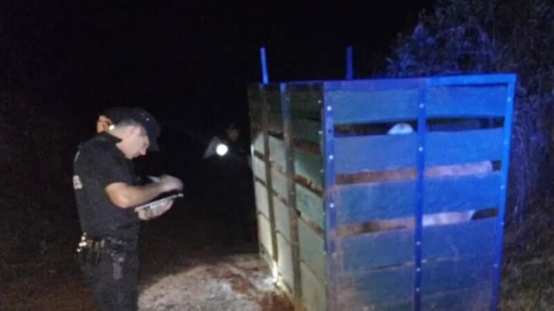 Robo frustrado 1 - 1