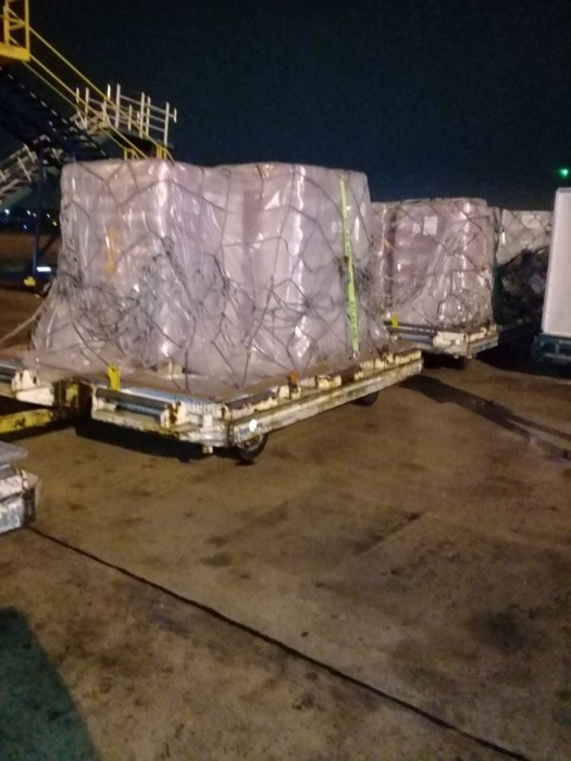 WhatsApp Image 2022 07 02 at 11.11.15 AM 2 - 1