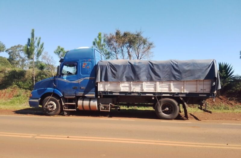 Secuestraron un camión que transportaba granos de soja de manera ilegal