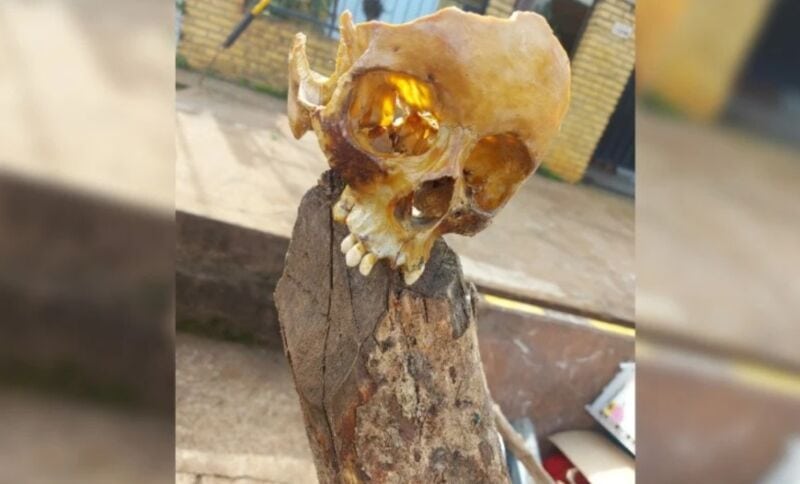 Hallaron restos óseos en plena vía pública de Posadas