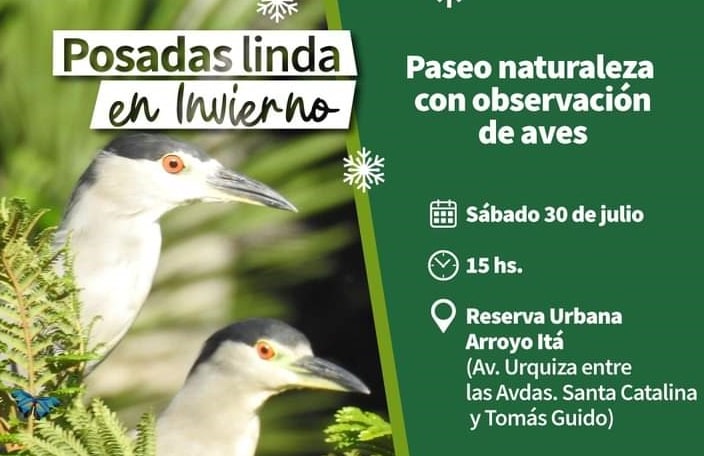 Recitales, paseos guiados y ferias para disfrutar del sábado en Posadas