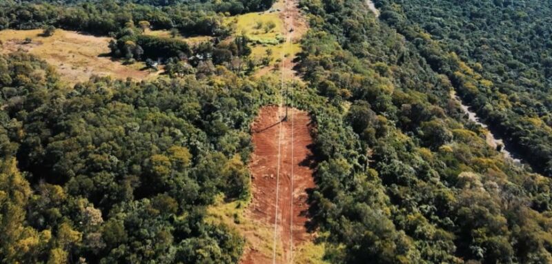 Energía de Misiones realiza la limpieza de traza de las líneas de tensión 4 8 - energia de misiones 5 - 7