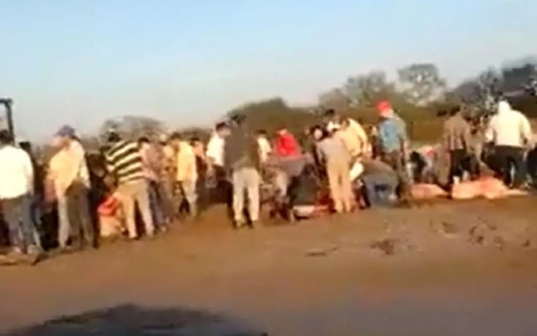 Volcó un camión con vacas y los vecinos las faenaron: “Tenemos asado gratis, muchachos”