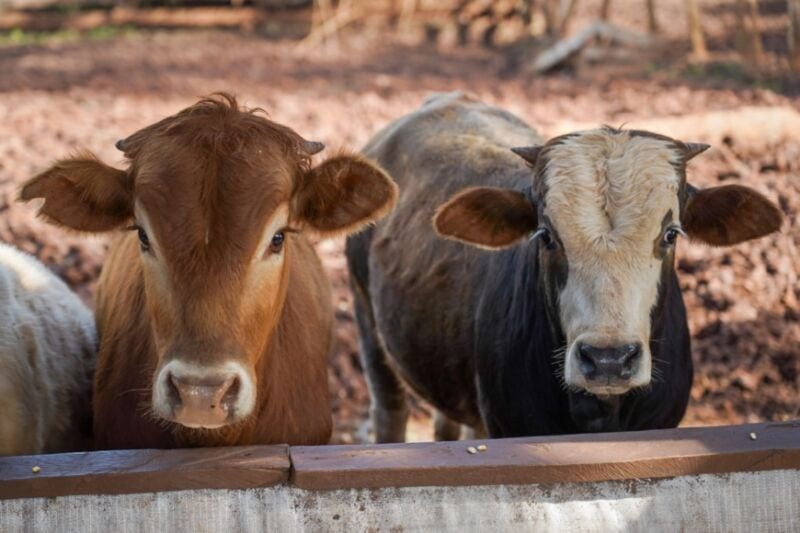 Passalacqua visitó a productores de Irigoyen para indagar las demandas del sector 3 6 - passalacqua 5 - 5