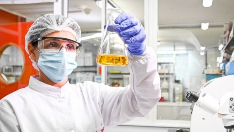 Centaurus, la última variante de coronavirus sobre la que la OMS puso la lupa